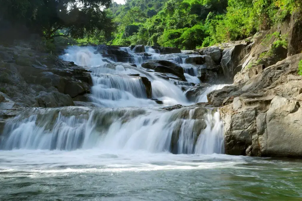 Khám phá thêm Yang Bay